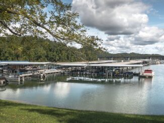 East Tennessee marina boats docked at Norris Lake on sunny day.