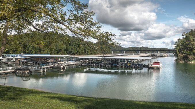 bridge marina norris lake East Tennessee marina boats docked at Norris Lake on sunny day.