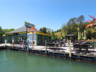 norris lake tiki hut bar and restaurant in east tennessee